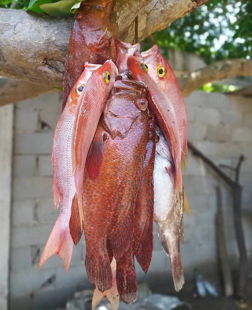 Большой Тур по Венесуэле