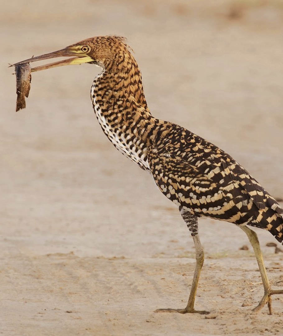 Большой Тур по Венесуэле