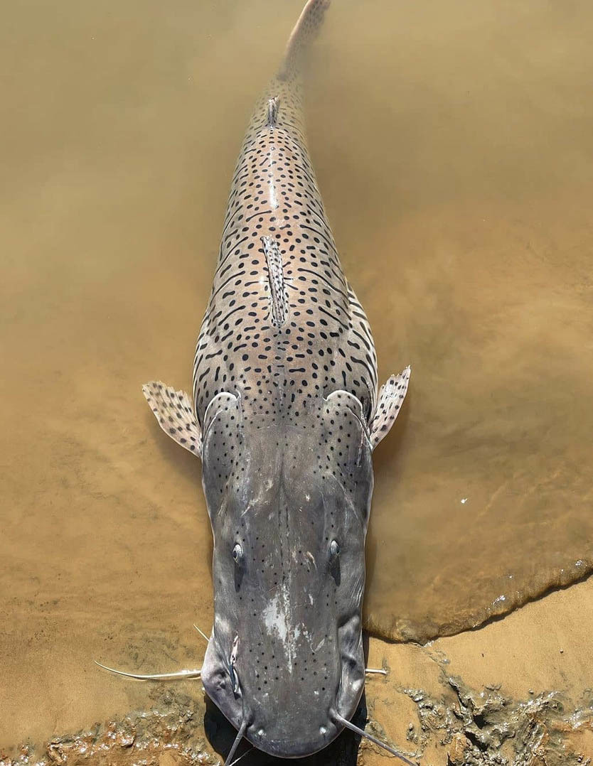 Большой Тур по Венесуэле