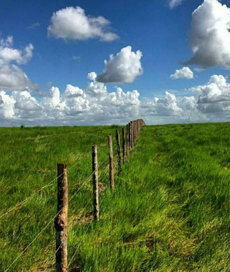 Тур по Венесуэле: Сафари в Лос Льянос