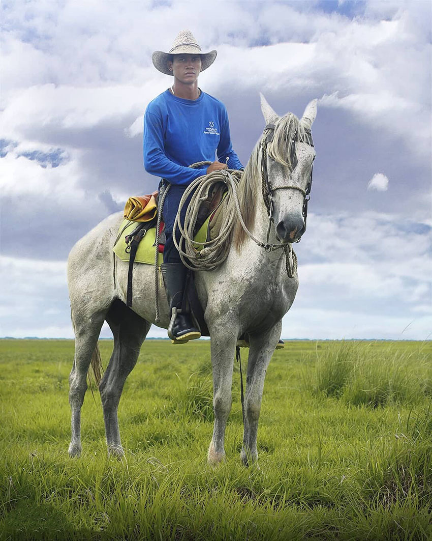 Тур по Венесуэле: Сафари в Лос Льянос