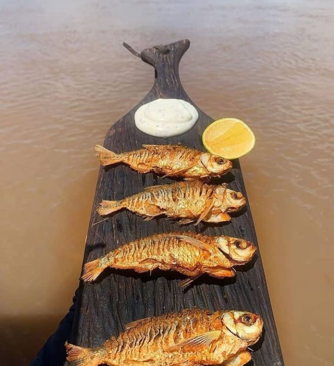 Тур по Венесуэле: Сафари в Лос Льянос