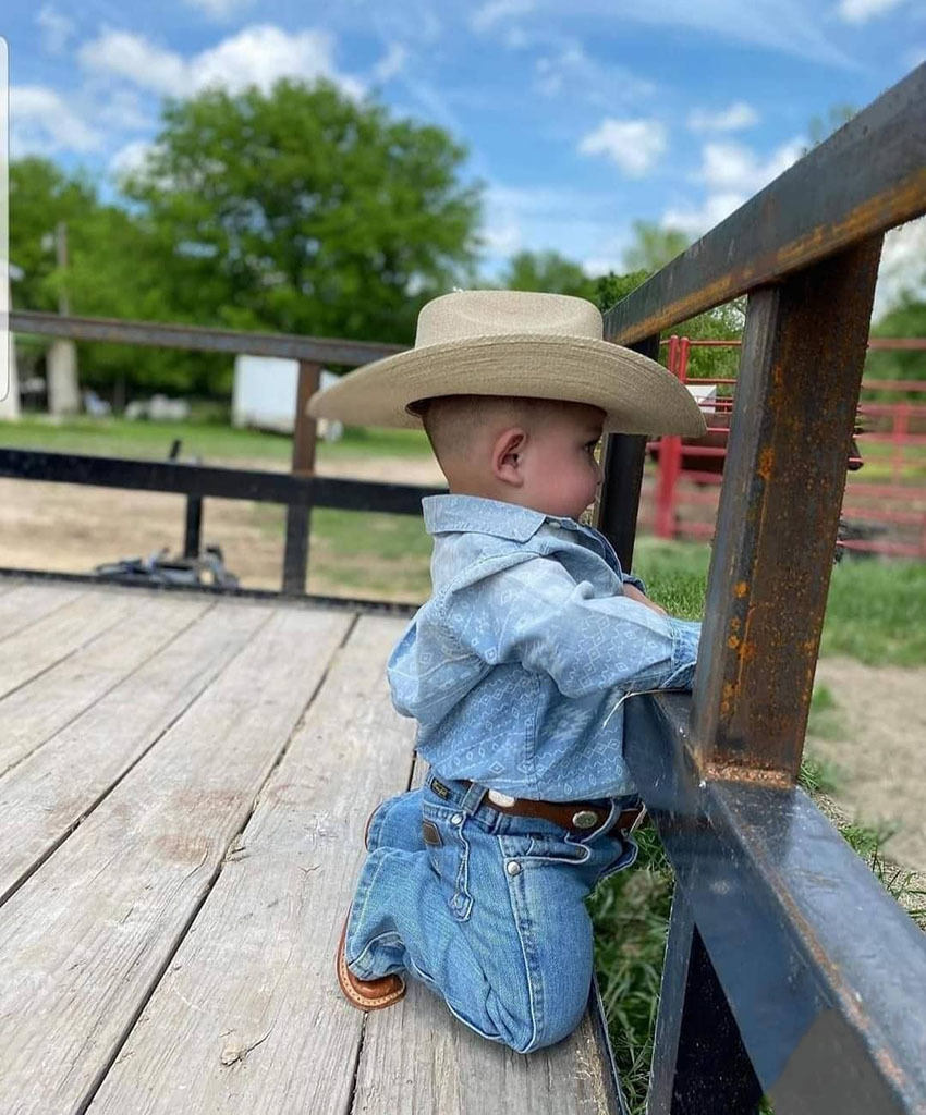 Тур по Венесуэле: Сафари в Лос Льянос