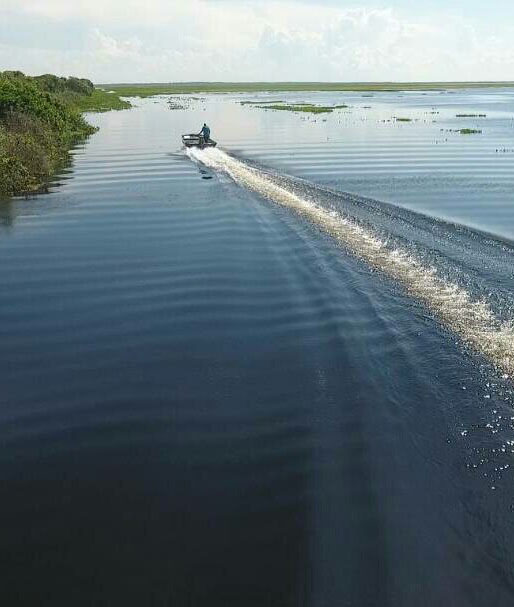 Тур по Венесуэле: Сафари в Лос Льянос