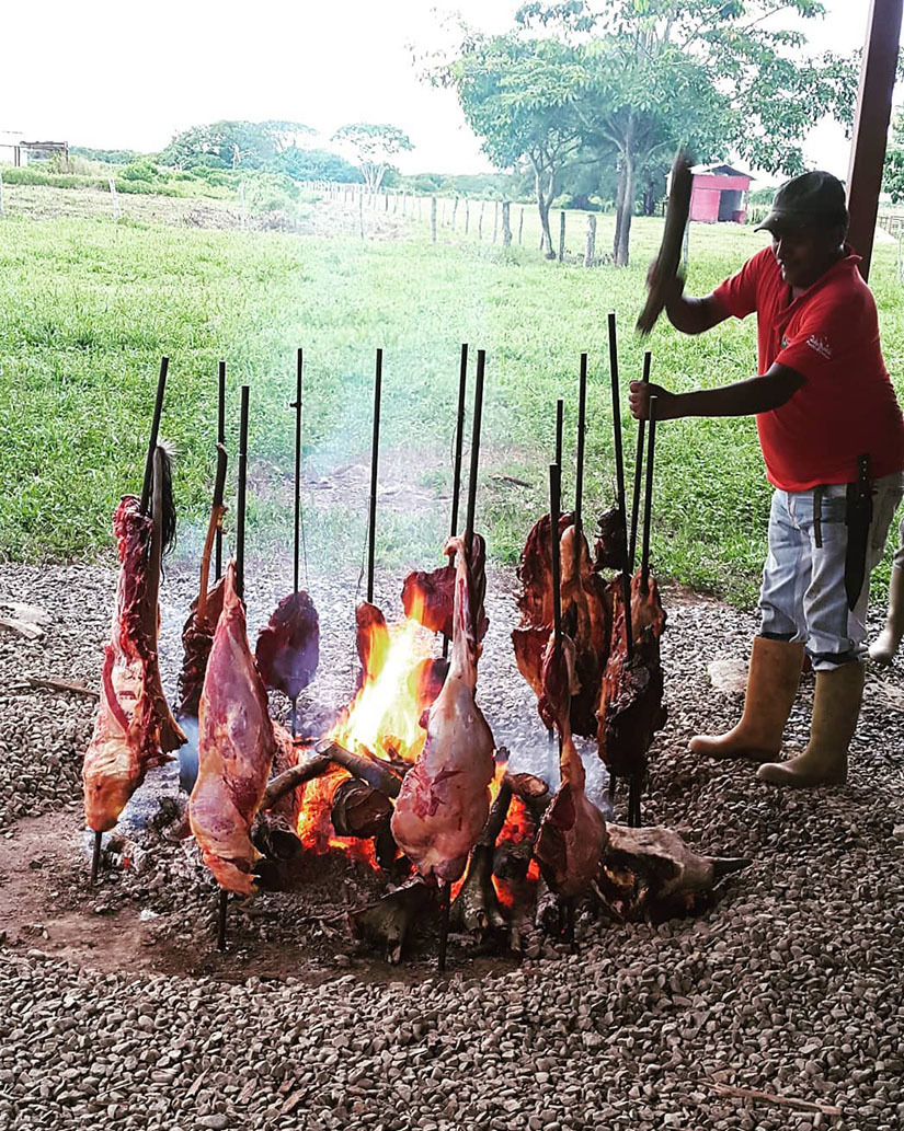 Тур по Венесуэле: Сафари в Лос Льянос
