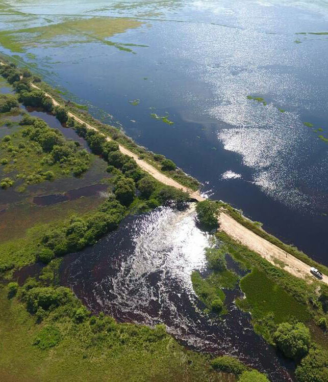 Тур по Венесуэле: Сафари в Лос Льянос