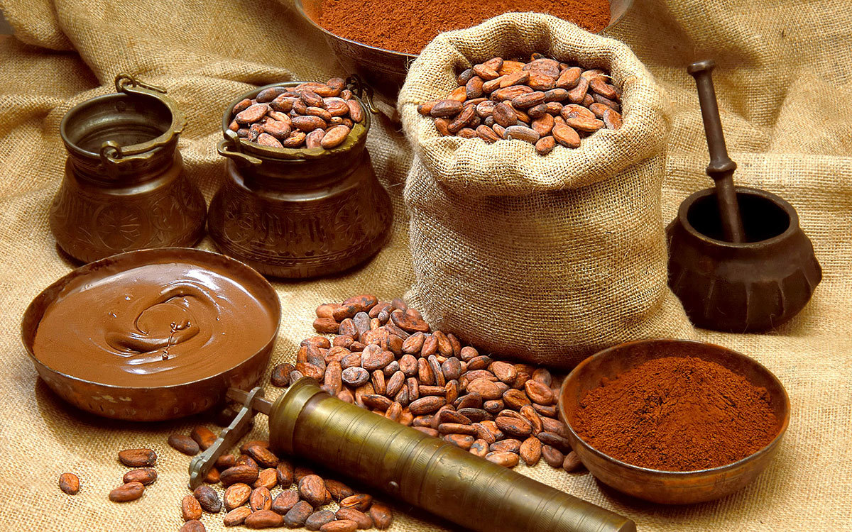 Какао Венесуэлы и его история