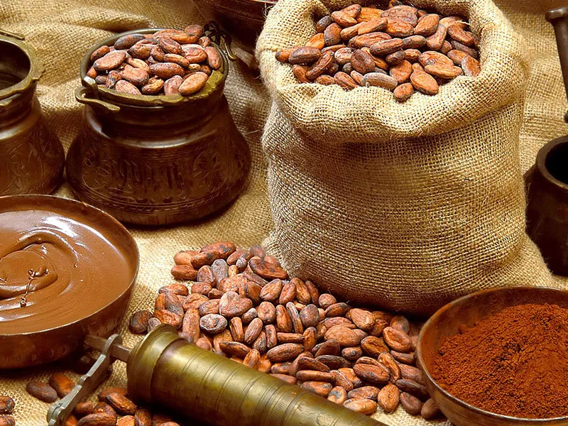 Какао Венесуэлы и его история