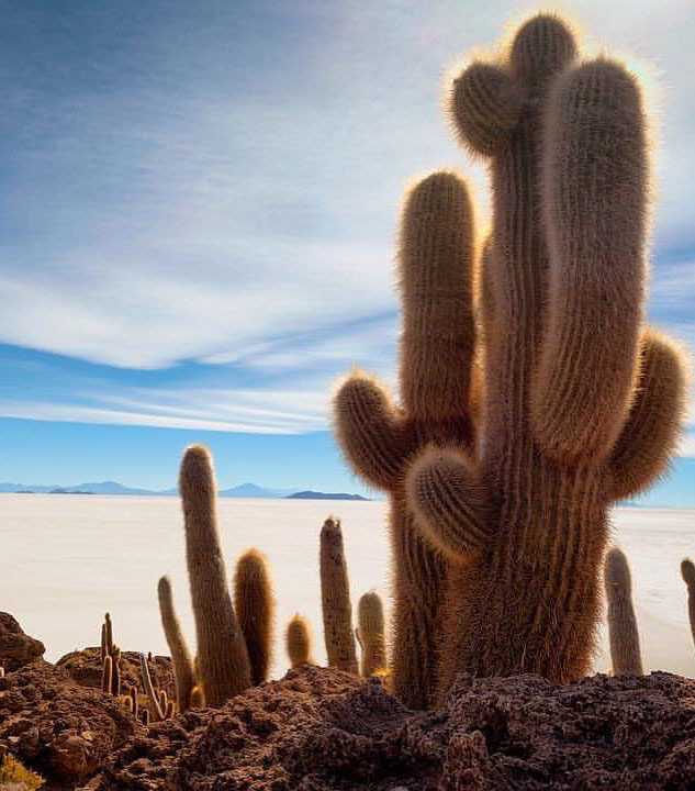 Тур Лучшее в Боливии за 14 дней