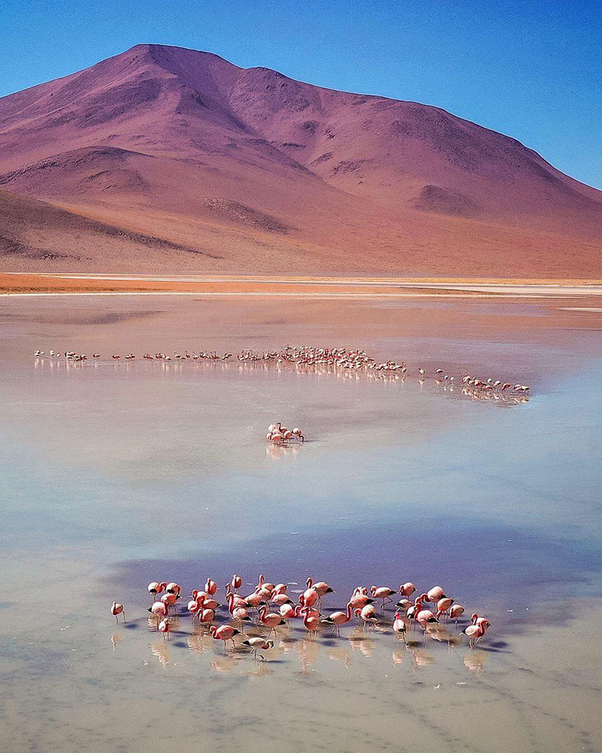 Тур Лучшее в Боливии за 14 дней