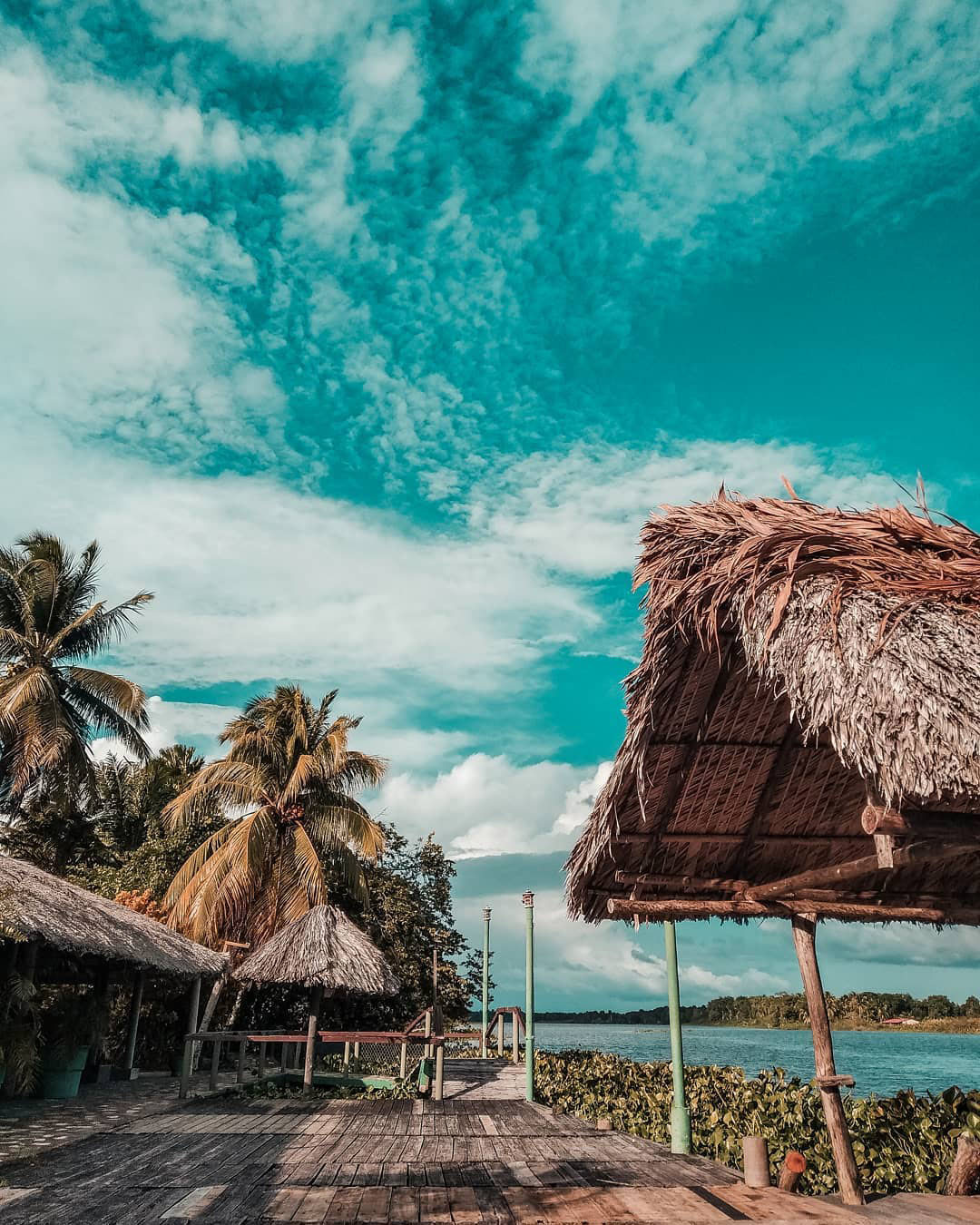 Тур в Венесуэлу из Москвы: Каракас — Канайма — Ориноко — Лос-Льянос