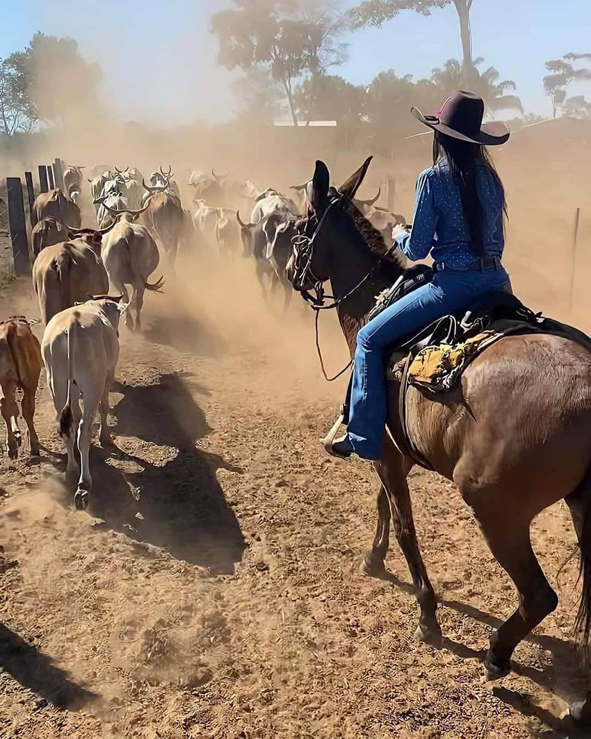 Тур в Венесуэлу из Москвы: Каракас — Канайма — Ориноко — Лос-Льянос