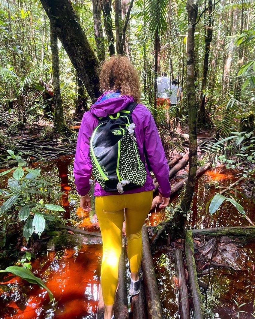 Тур в Венесуэлу из Москвы: Каракас — Канайма — Ориноко — Лос-Льянос