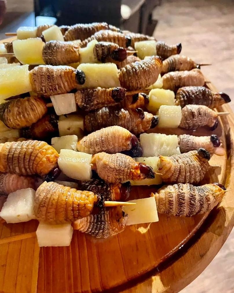 Тур в Венесуэлу из Москвы: Каракас — Канайма — Ориноко — Лос-Льянос