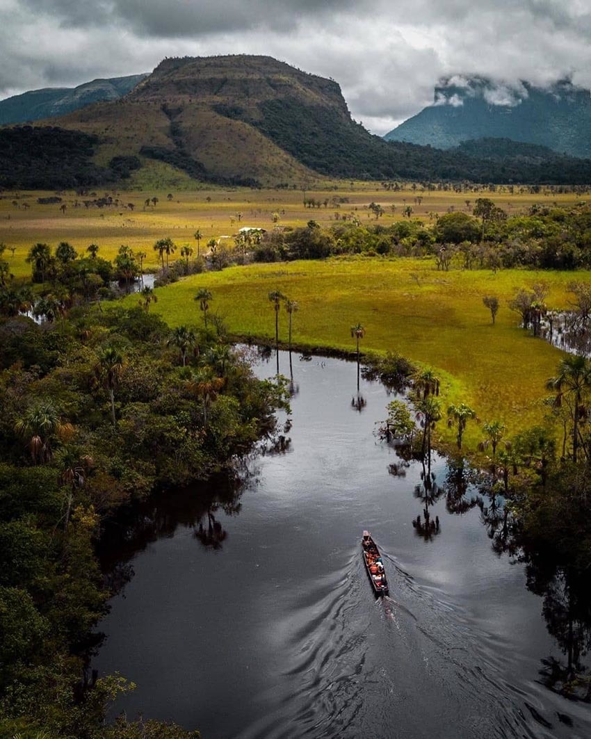 Тур в Венесуэлу из Москвы: Каракас — Канайма — Ориноко — Лос-Льянос