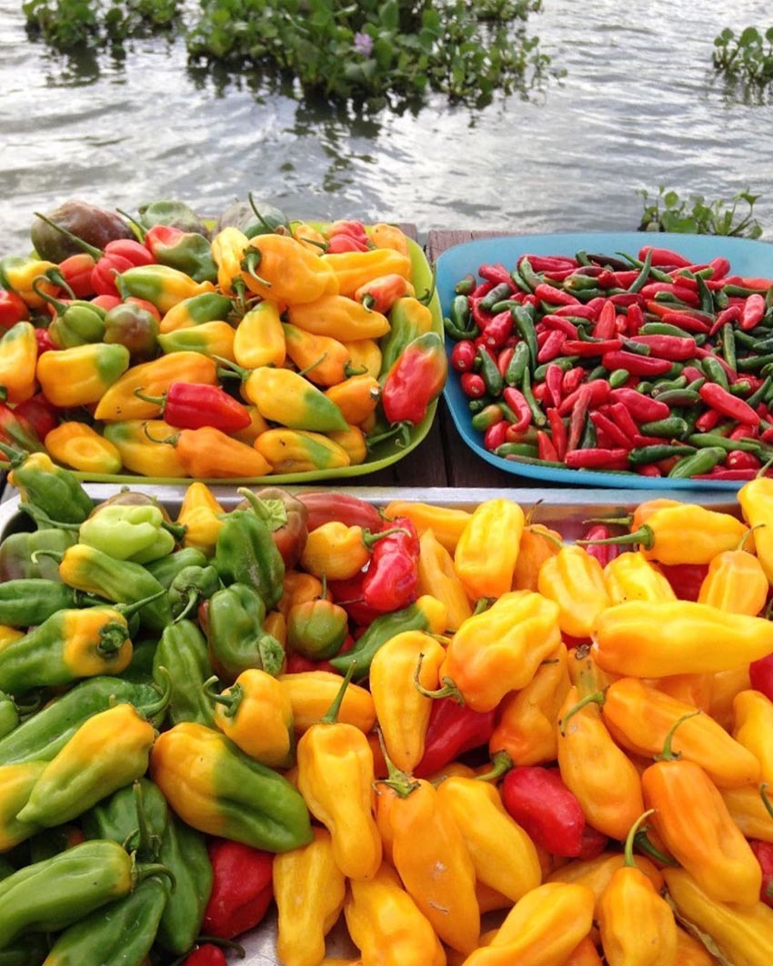 Тур в Венесуэлу из Москвы: Каракас — Канайма — Ориноко — Лос-Льянос