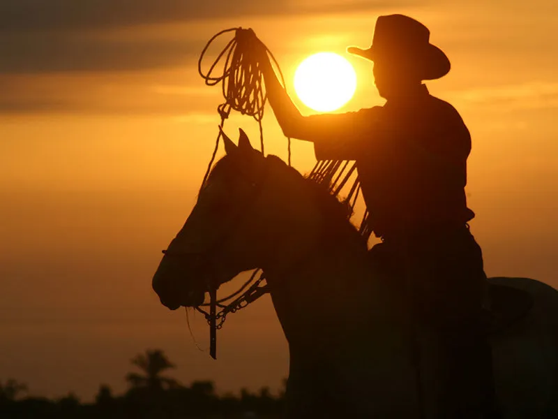 Песни льянерос Венесуэлы и Колумбии — культурное Наследие ЮНЕСКО