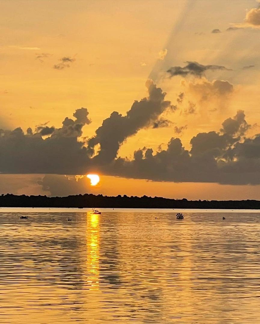 Тур в Венесуэлу из Москвы: Каракас — Канайма — Ориноко — Лос-Льянос