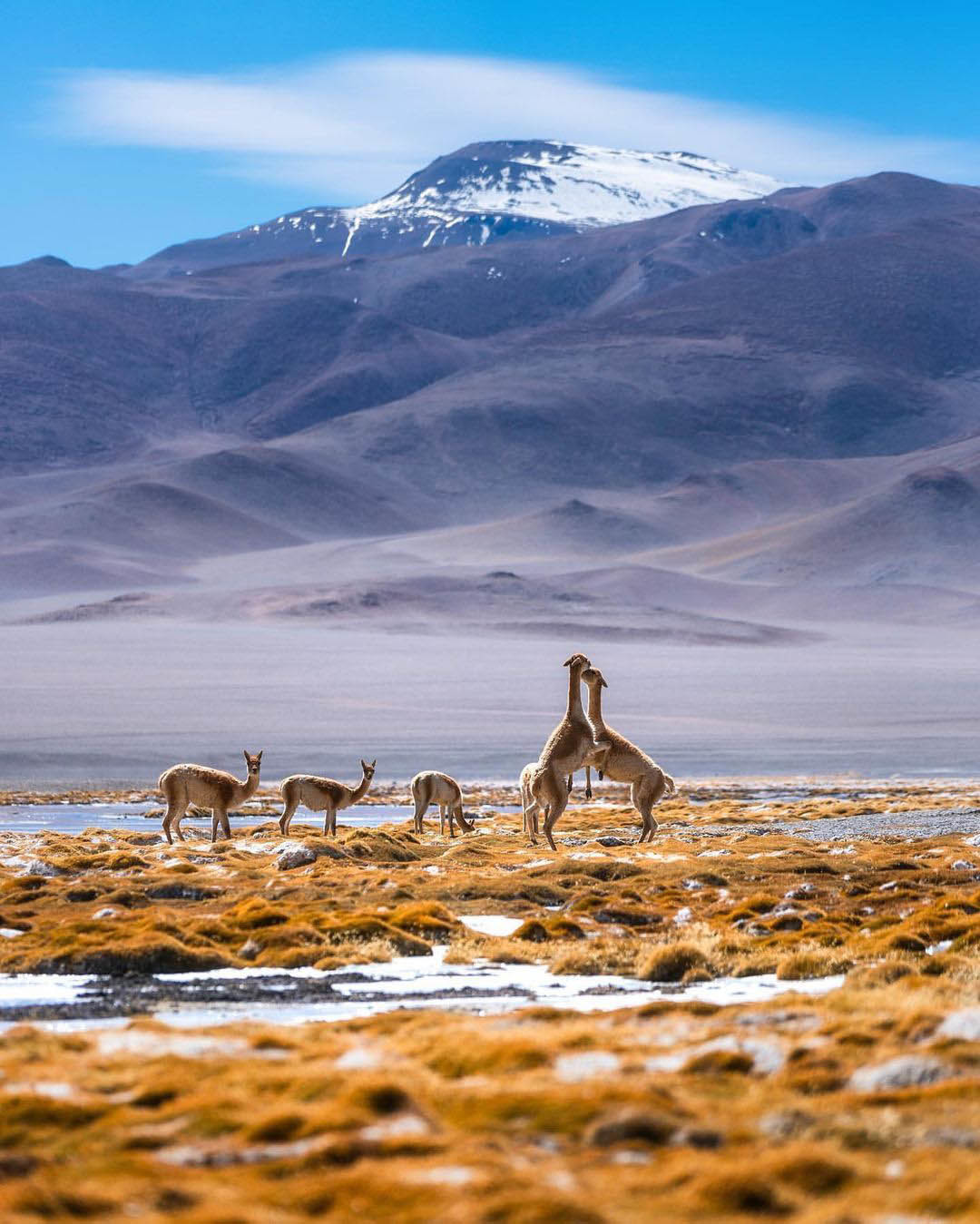 Тур по Северу Аргентины: Хухуй - Тукуман - Сальта - Катамарка