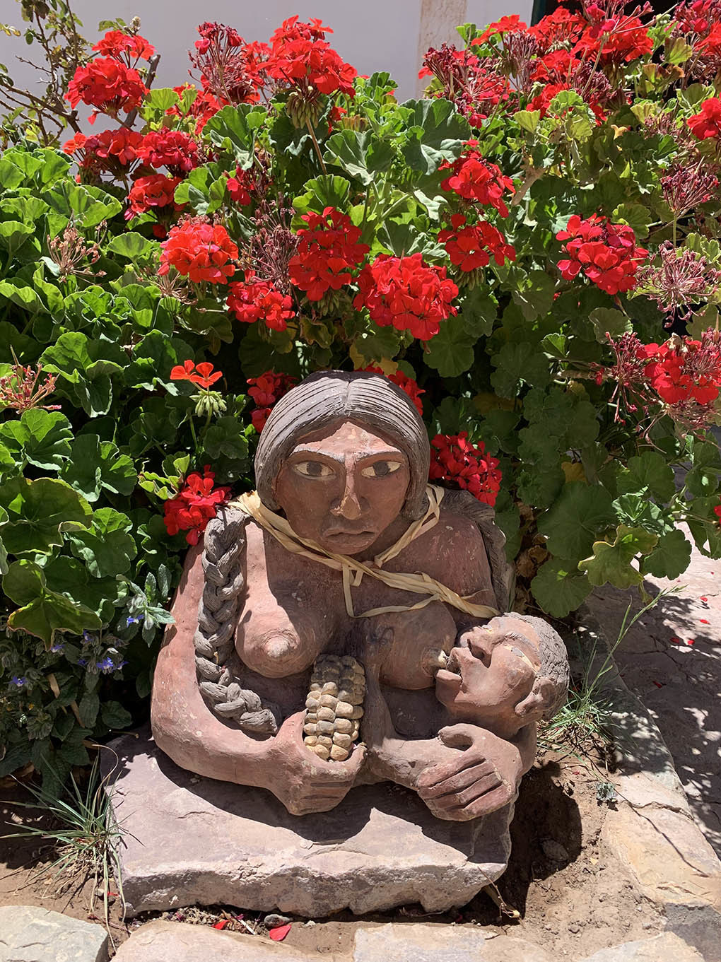 Тур по Северу Аргентины: Хухуй - Тукуман - Сальта - Катамарка