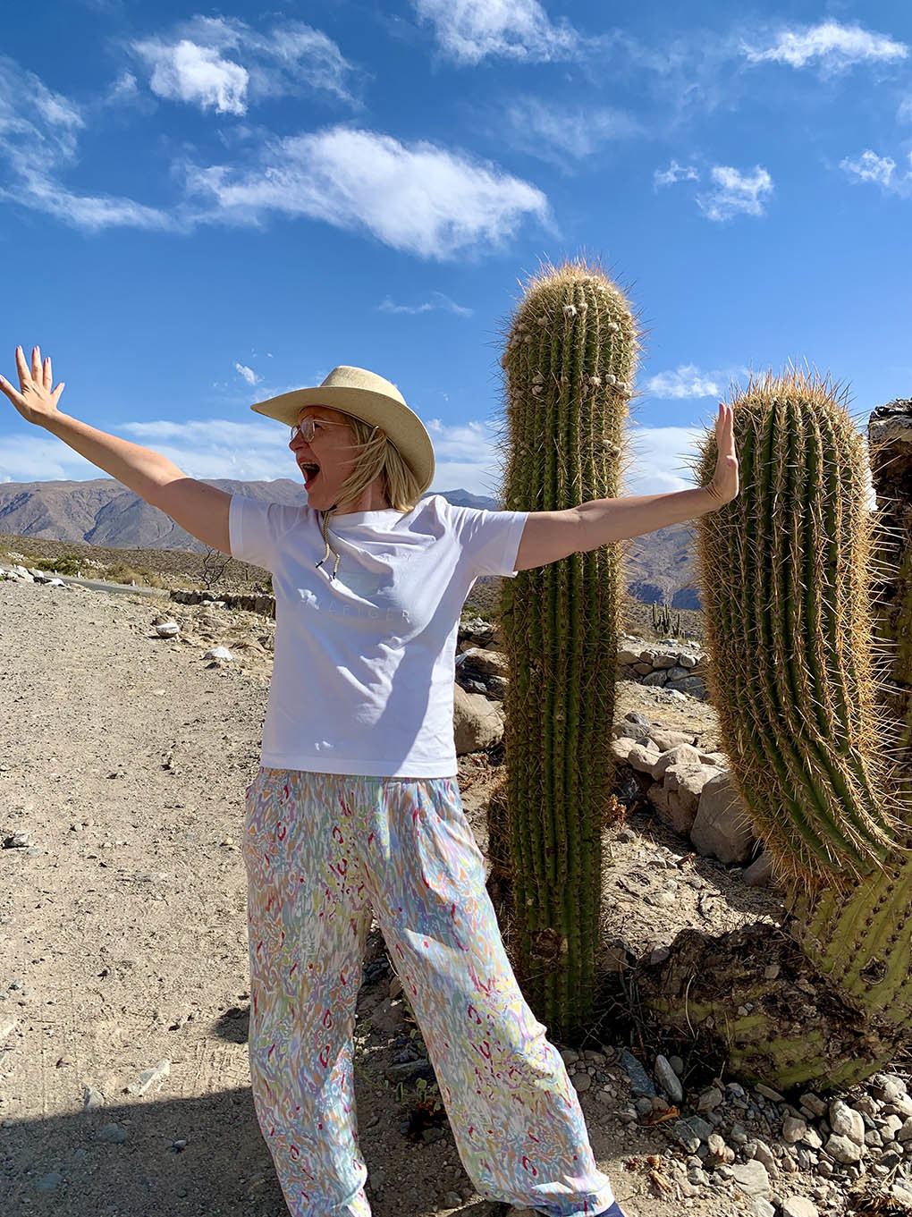 Тур по Северу Аргентины: Хухуй - Тукуман - Сальта - Катамарка