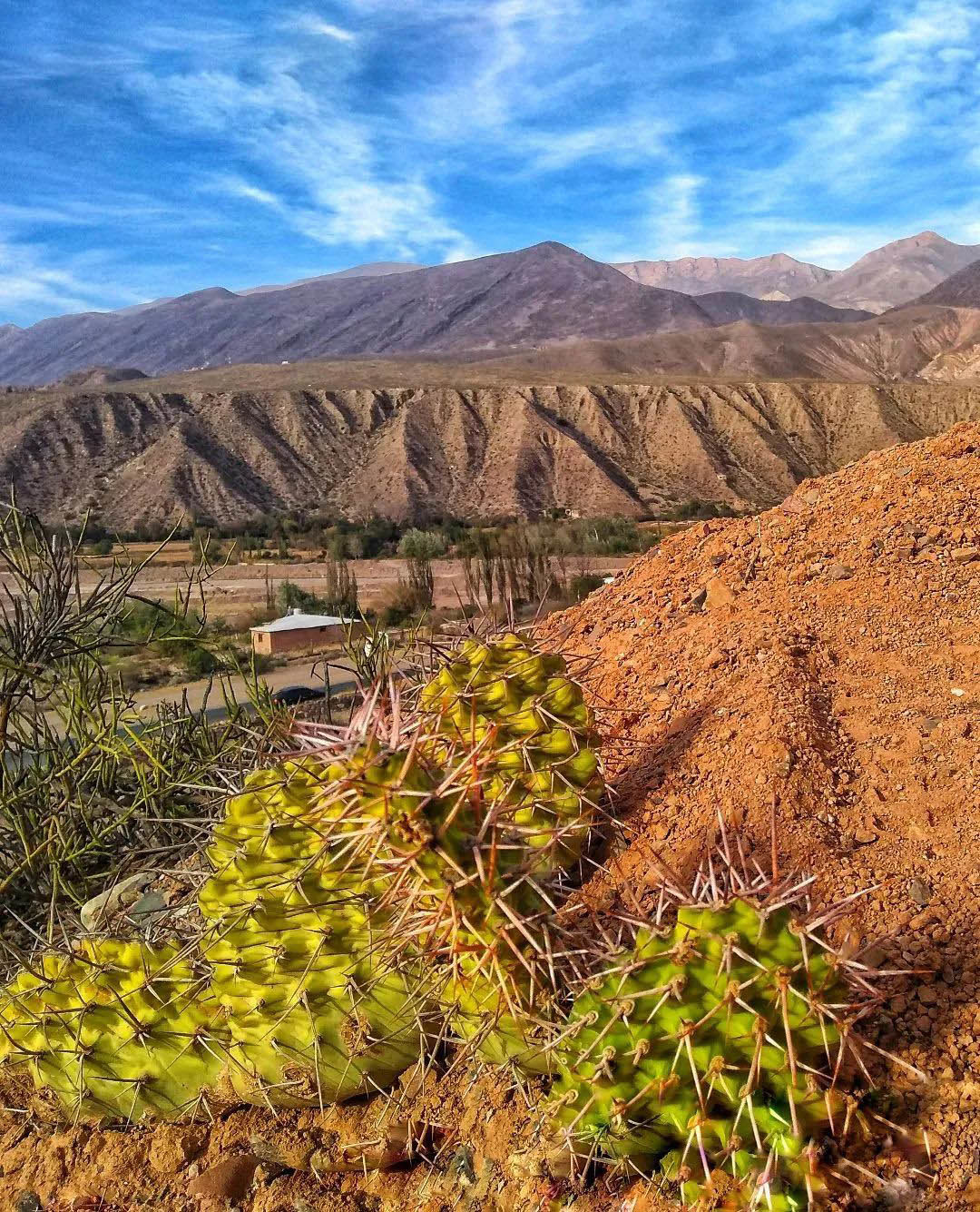 Тур по Северу Аргентины: Хухуй - Тукуман - Сальта - Катамарка