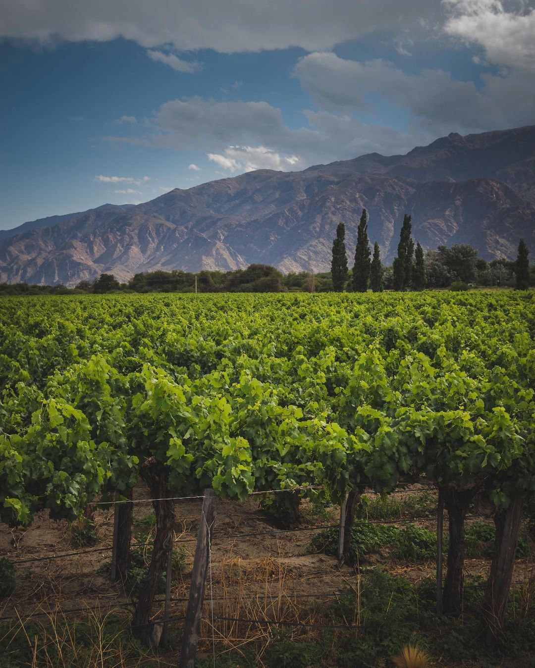 Тур по Северу Аргентины: Хухуй - Тукуман - Сальта - Катамарка