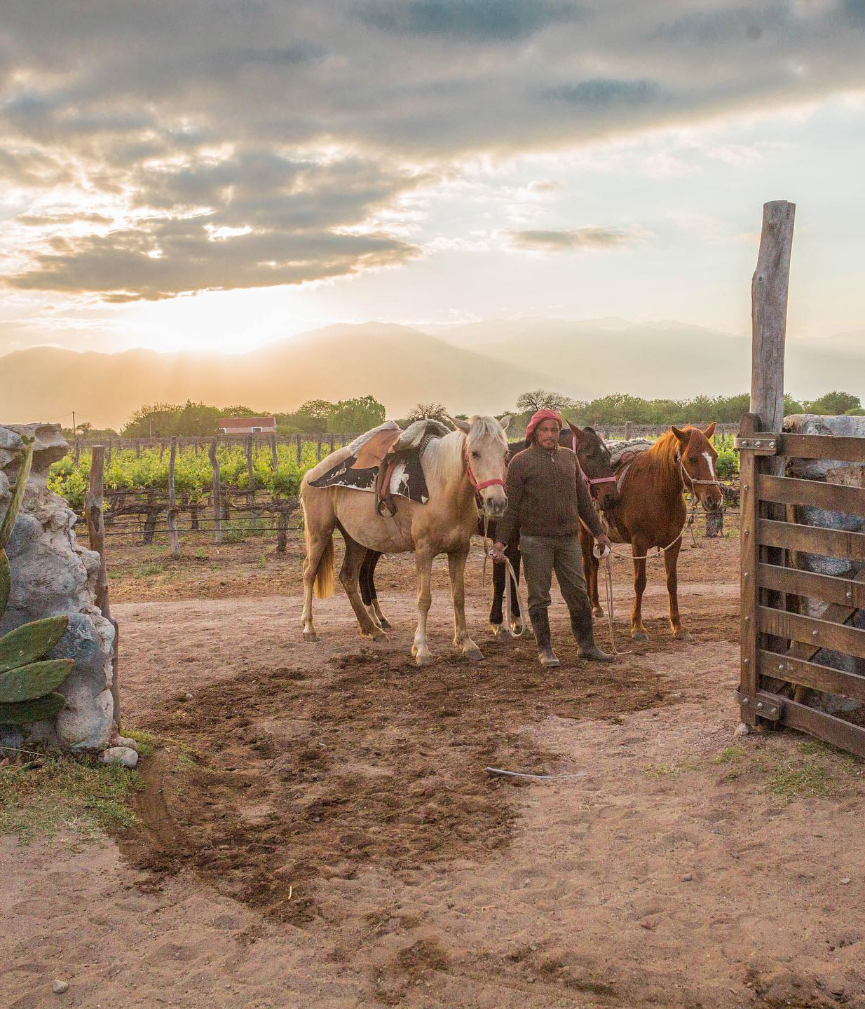 Тур по Северу Аргентины: Хухуй - Тукуман - Сальта - Катамарка