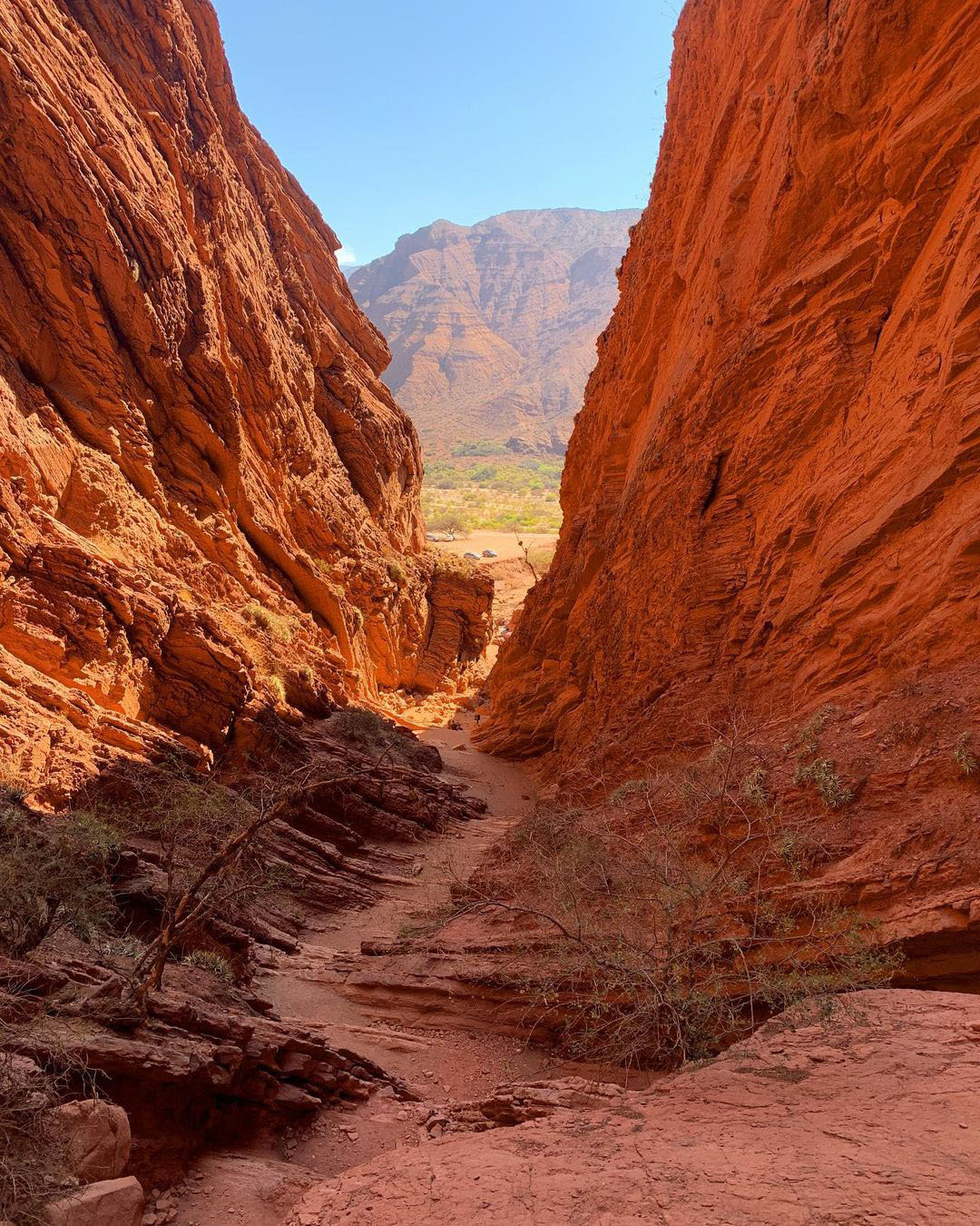 Тур по Северу Аргентины: Хухуй - Тукуман - Сальта - Катамарка