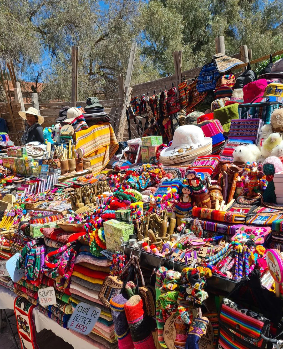 Тур по Северу Аргентины: Хухуй - Тукуман - Сальта - Катамарка