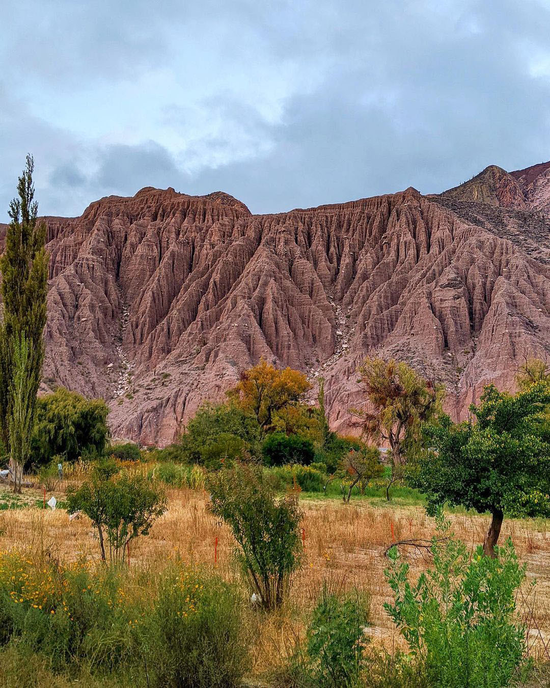 Тур по Северу Аргентины: Хухуй - Тукуман - Сальта - Катамарка