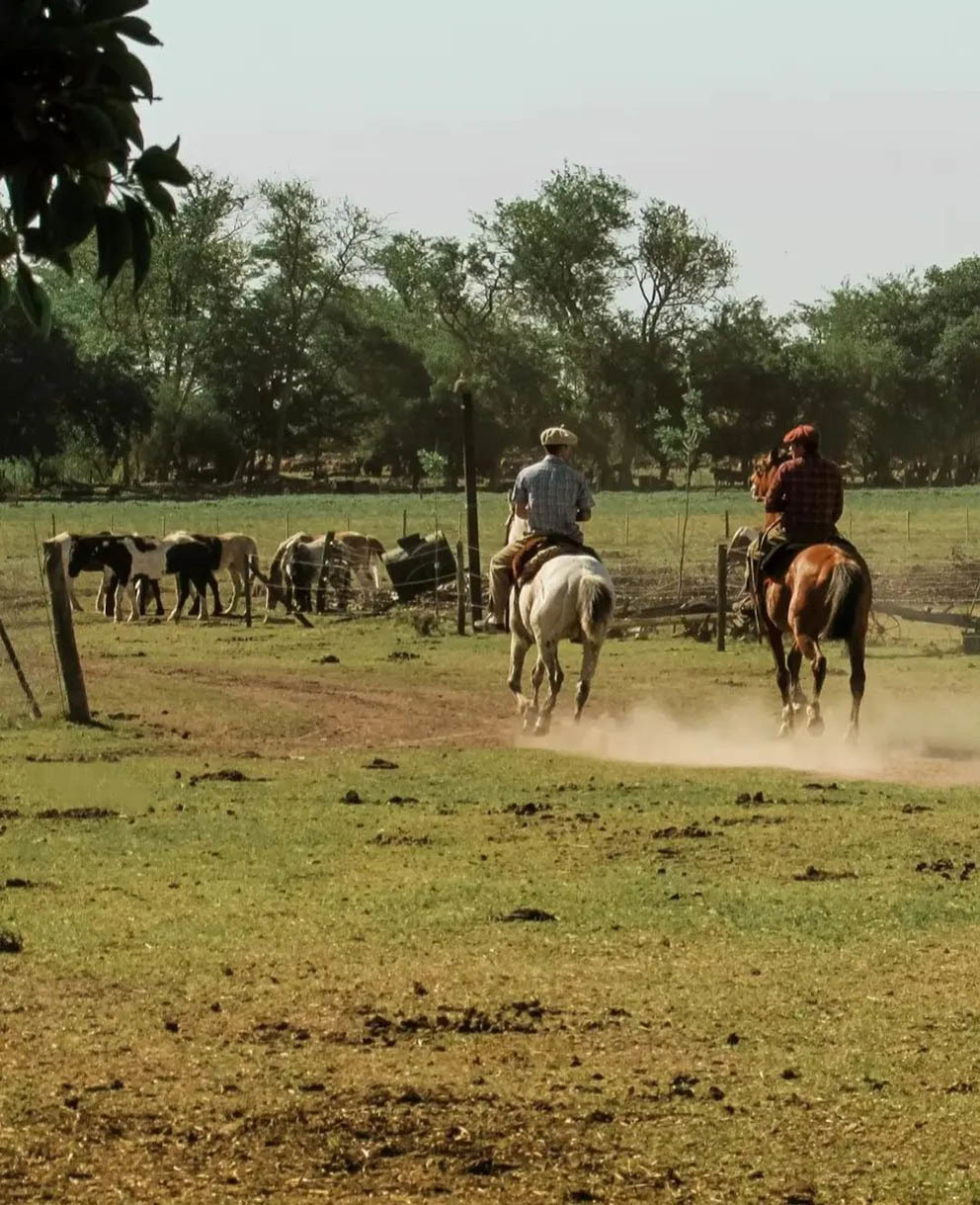 Тур в Буэнос-Айрес на 3 дня