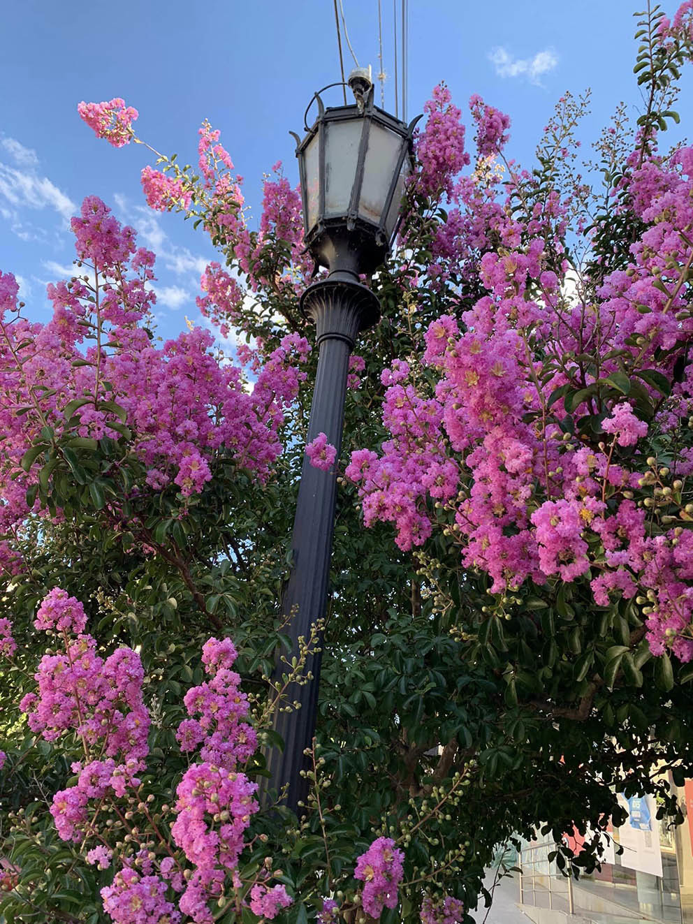 Тур в Буэнос-Айрес на 3 дня