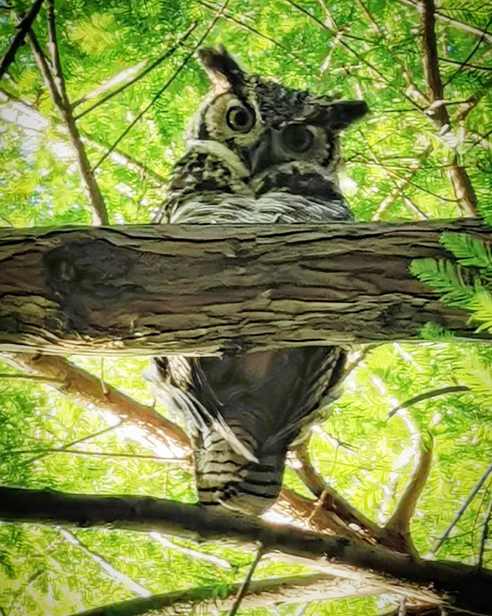 Тур в Буэнос-Айрес на 3 дня