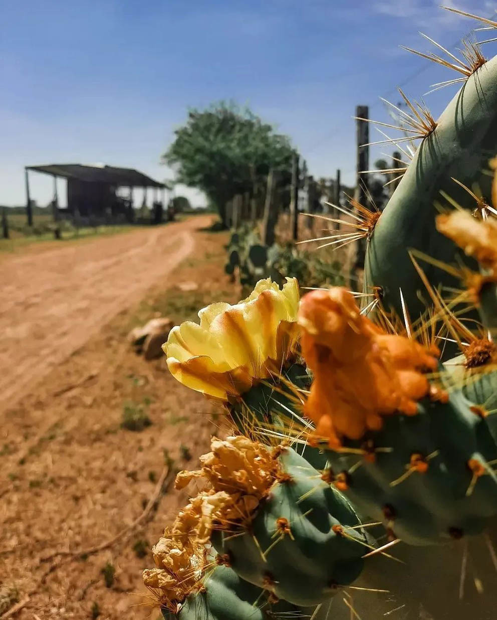 Тур в Буэнос-Айрес на 3 дня