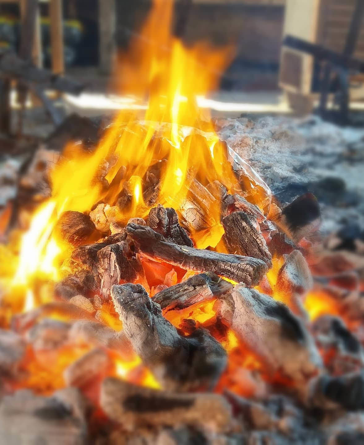 Экскурсия из Буэнос-Айреса на ранчо к гаучо