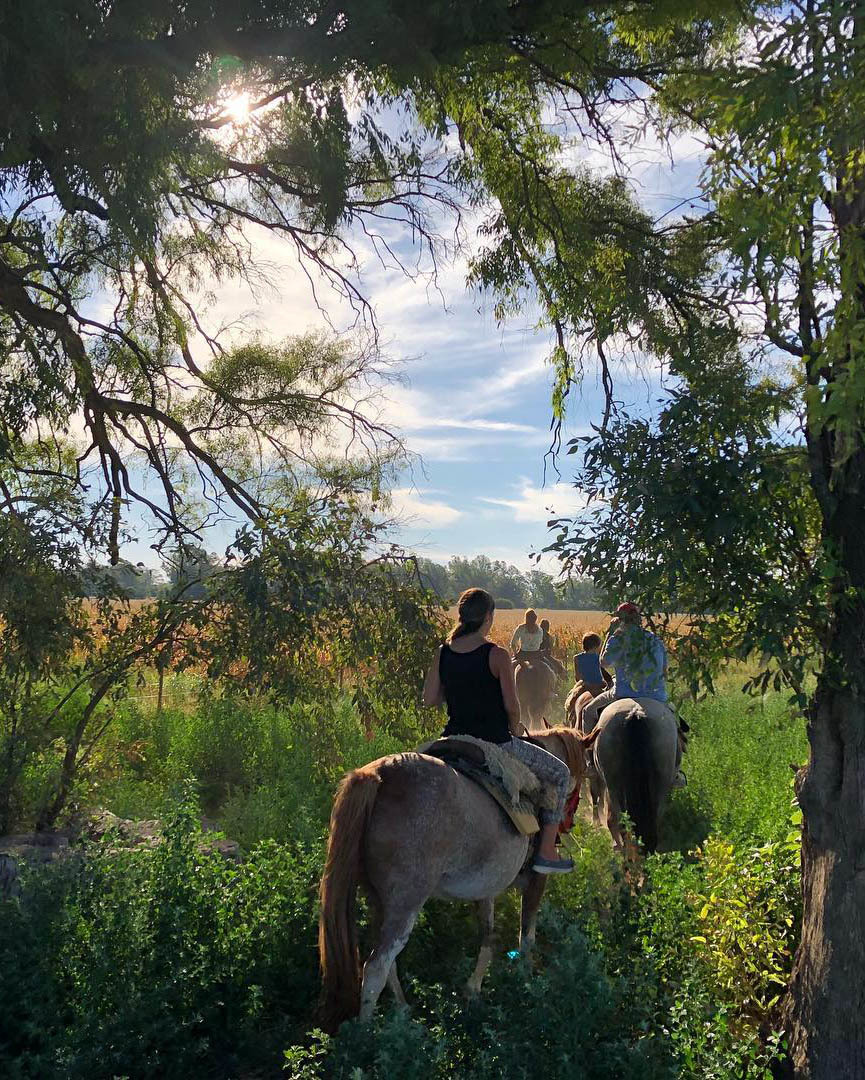 Экскурсия из Буэнос-Айреса на ранчо к гаучо