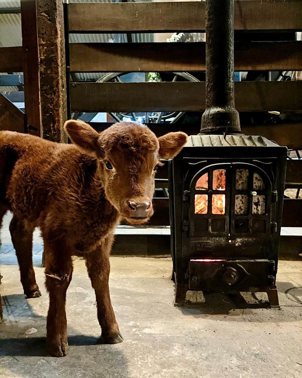 Экскурсия из Буэнос-Айреса на ранчо к гаучо