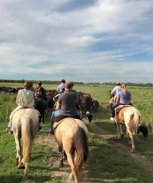 Экскурсия из Буэнос-Айреса на ранчо к гаучо