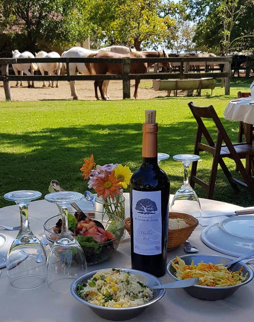 Экскурсия из Буэнос-Айреса на ранчо к гаучо