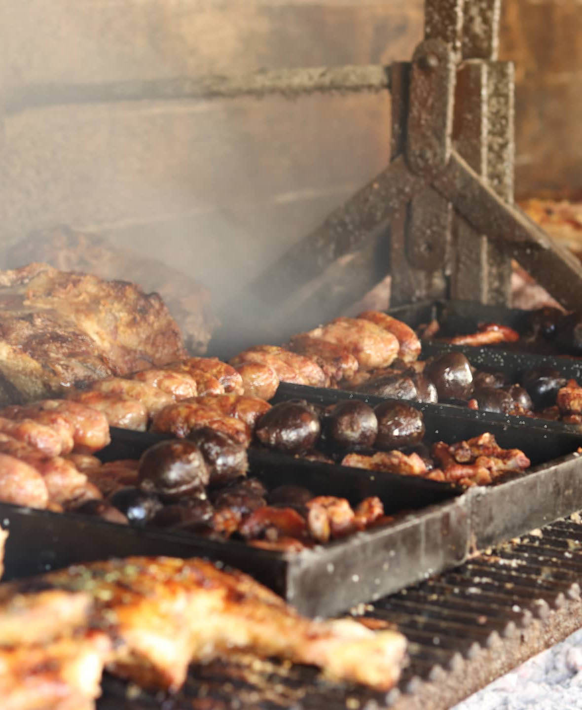 Экскурсия из Буэнос-Айреса на ранчо к гаучо