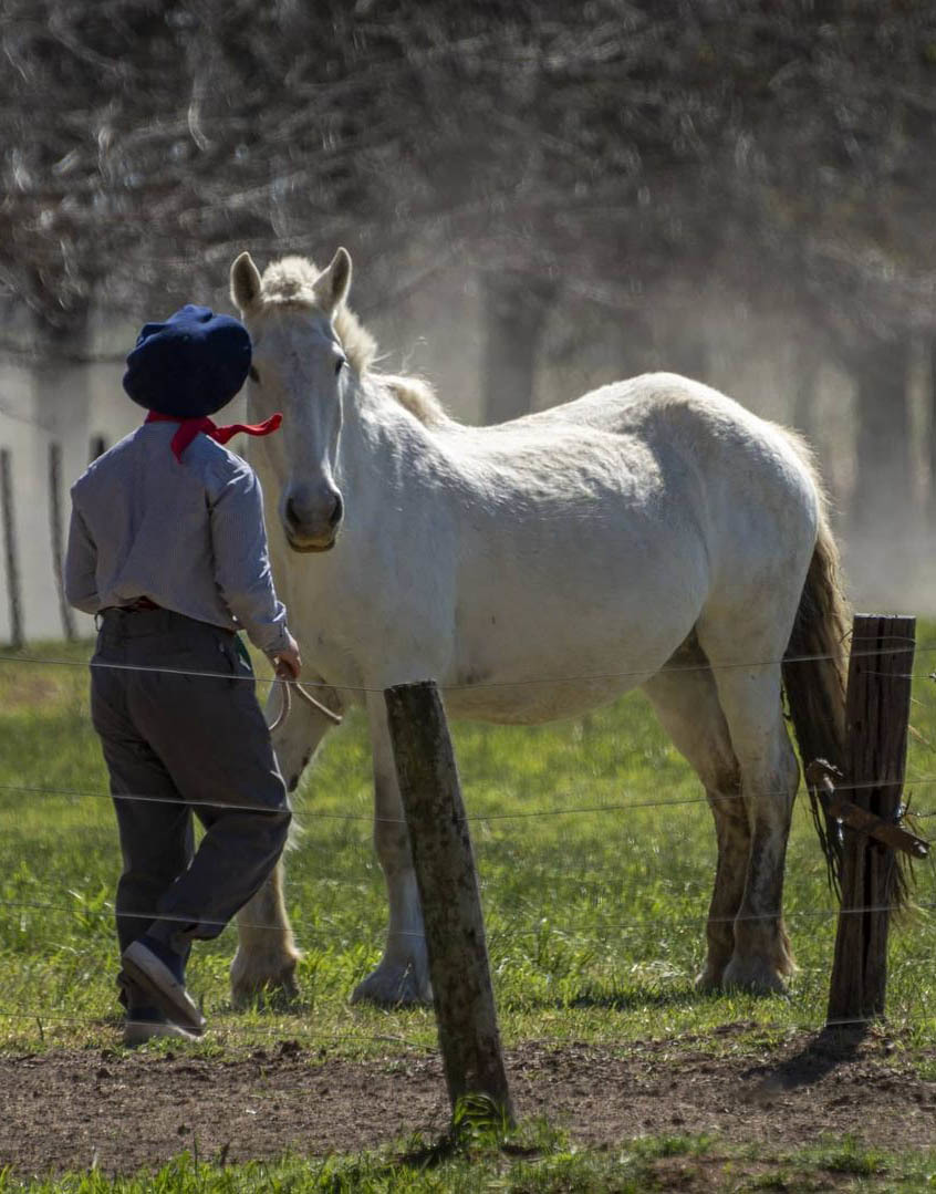 Экскурсия из Буэнос-Айреса на ранчо к гаучо