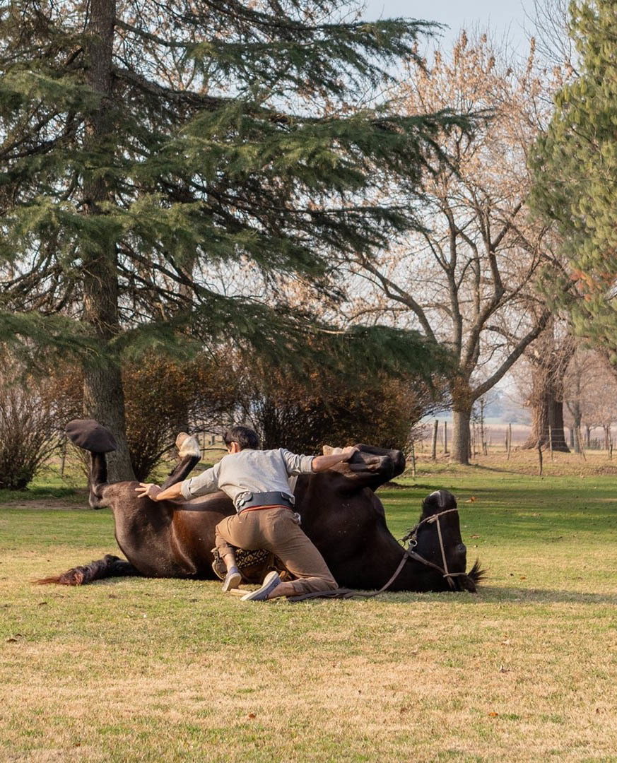 Экскурсия из Буэнос-Айреса на ранчо к гаучо