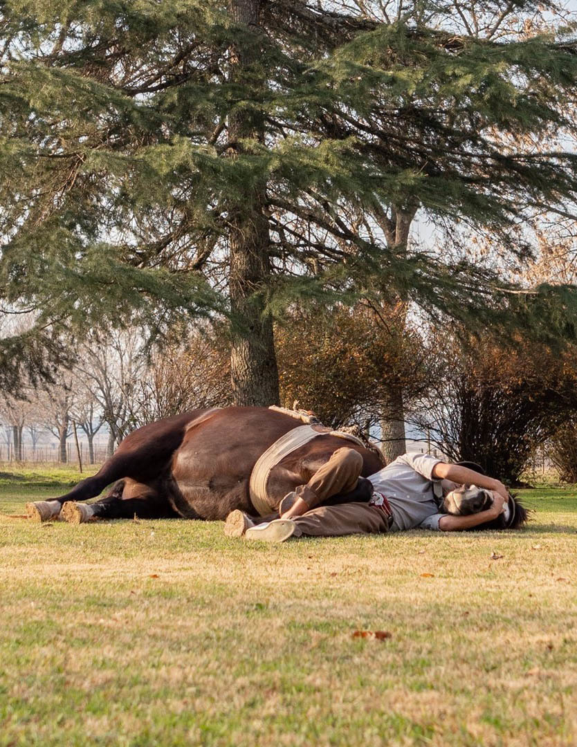 Экскурсия из Буэнос-Айреса на ранчо к гаучо