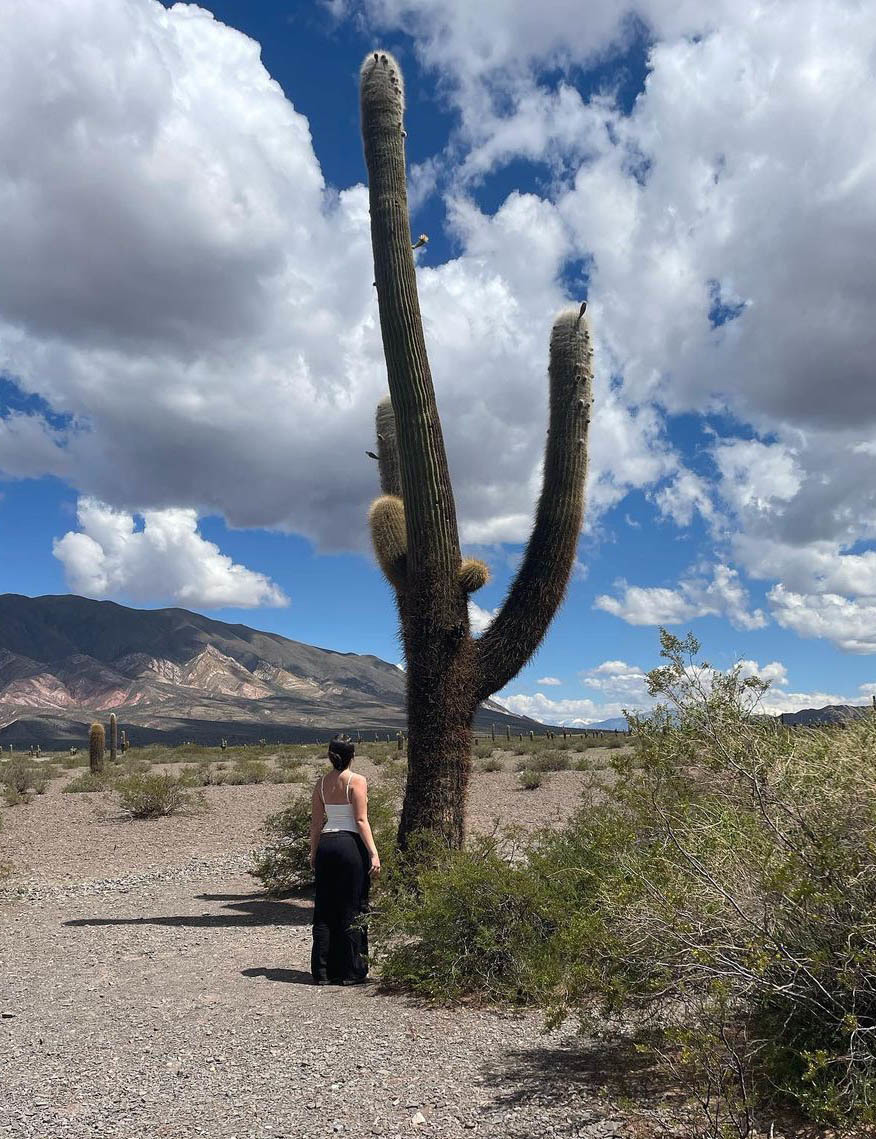 Большой Тур: Вся Аргентина за 14 дней