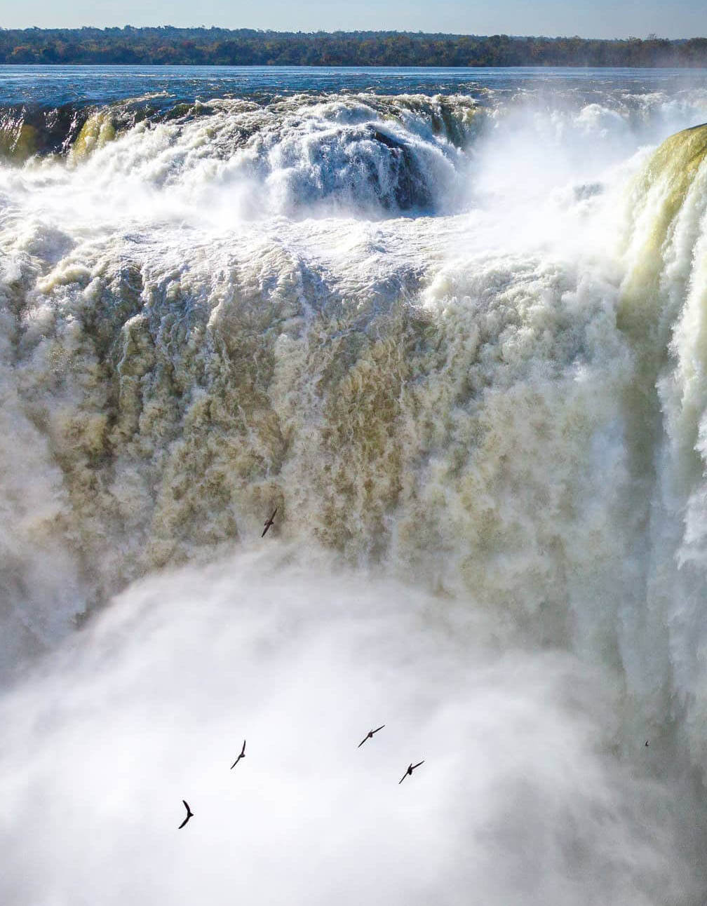 Большой Тур: Вся Аргентина за 14 дней