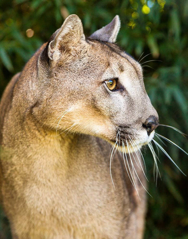 Большой Тур: Вся Аргентина за 14 дней