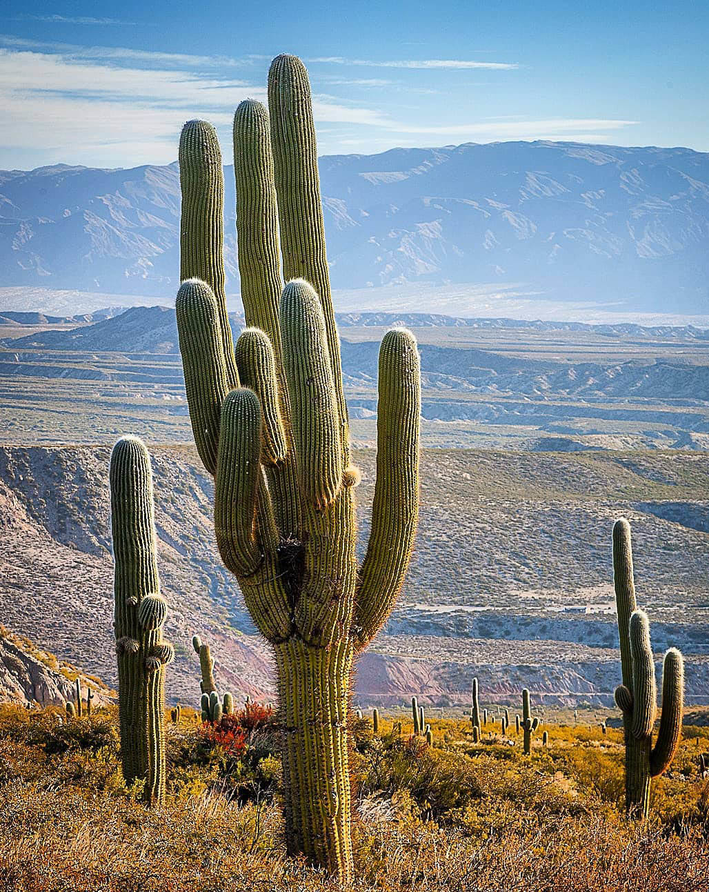 Большой Тур: Вся Аргентина за 14 дней