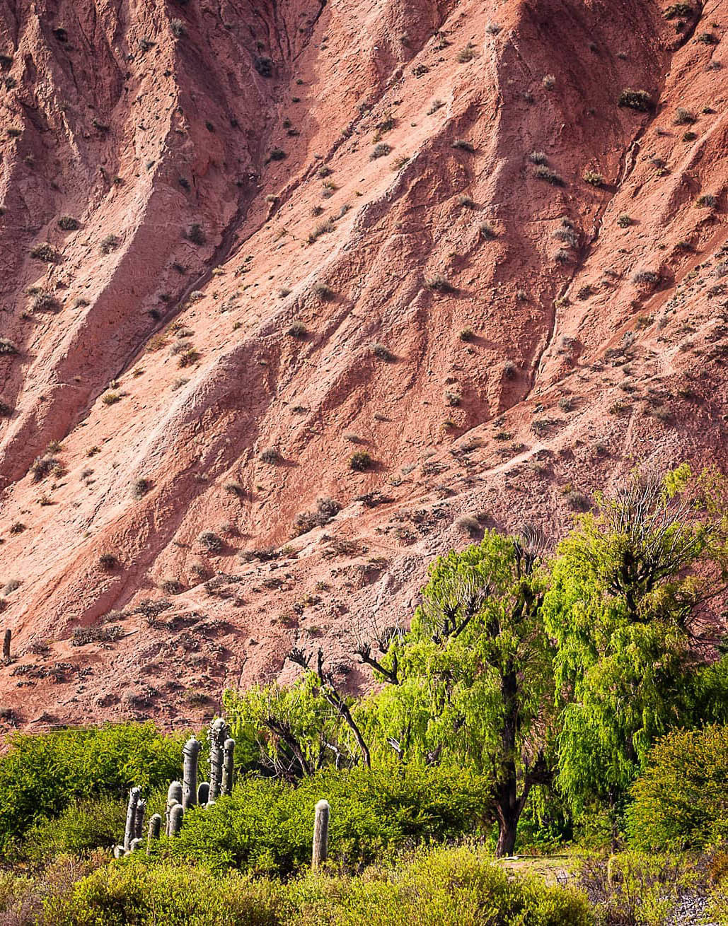 Большой Тур: Вся Аргентина за 14 дней