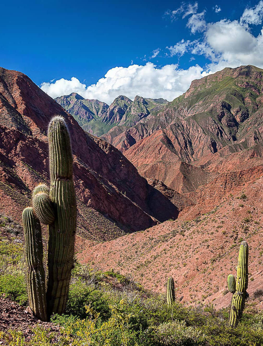 Большой Тур: Вся Аргентина за 14 дней